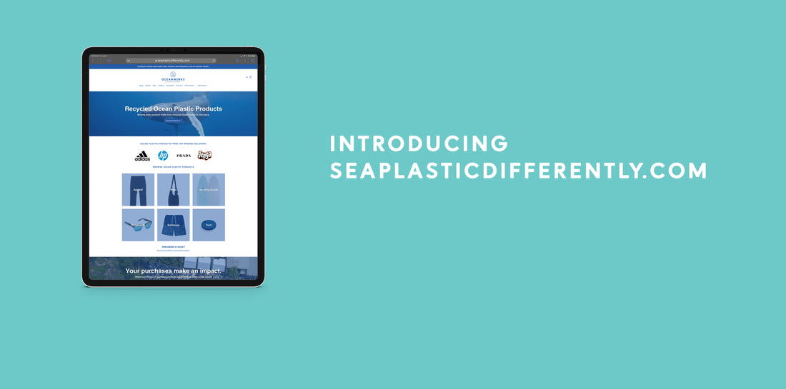 介绍一下SeaPlasticDifferently.com!