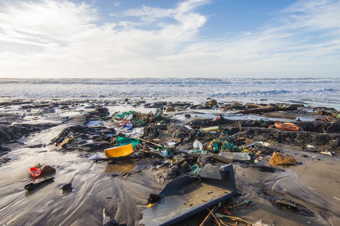 海洋塑料从何而来？